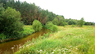 Никулинка
